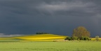 Le Gros Mont au printemps