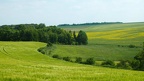 PAYSAGE 6
