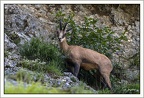 MichelMaillard20210708