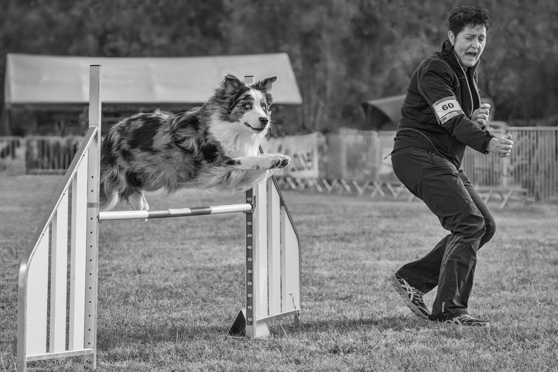 Jo-13-La passion de l'agility dog.jpg