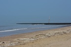 DSC 0910