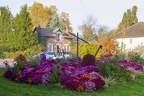 IMG 5771 couleurs d'automne 4