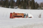 IMG 7415
