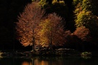 Ambiance automnale