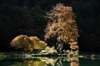 Ambiance d'automne