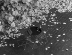 ambiance automnale 2