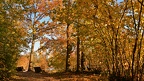 Automne - Defi