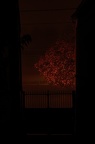 03 2110 1D28968