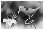 Quand il ne restera plus que des oiseaux de metal pour admirer des fleurs en plastique..