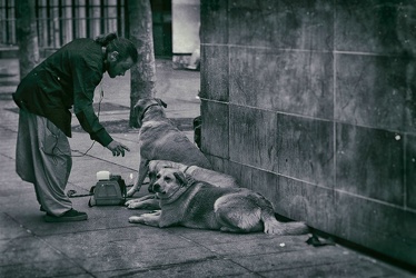 JP....MAN  WITH  DOGS  IN  PARIS