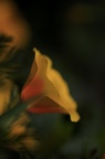 01 2204 1D30930