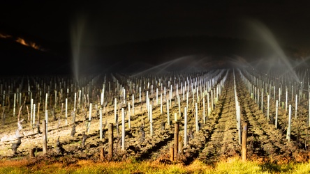 Une nuit avec les viticulteurs (2)