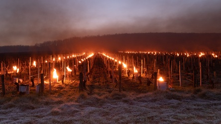  Une nuit avec les viticulteurs (3)