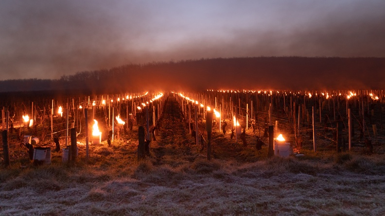  Une nuit avec les viticulteurs (3).jpg