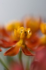 IMG 7289