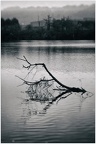yonne sens 03
